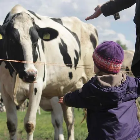Ferien-und Bauernhof Gauster Trebel