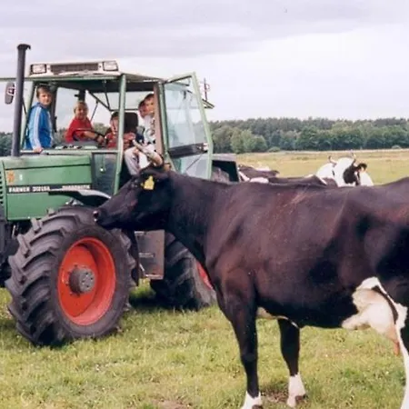 Apartment Ferien-und Bauernhof Gauster *