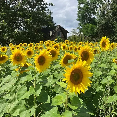 Ferien-und Bauernhof Gauster Trebel