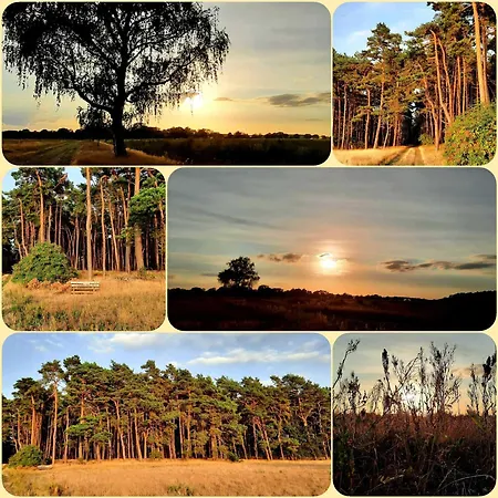 Apartment Ferien-und Bauernhof Gauster