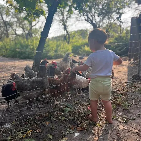 Ferien-und Bauernhof Gauster *