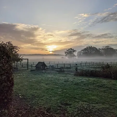 Ferien-und Bauernhof Gauster Trebel