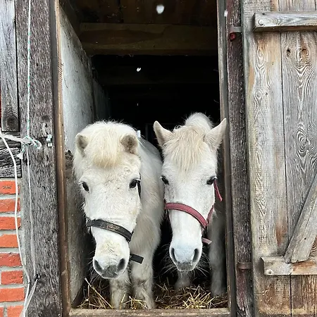 Apartment Ferien-und Bauernhof Gauster *