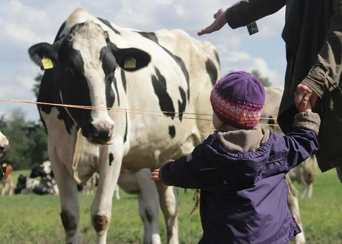 Ferien-und Bauernhof Gauster Trebel