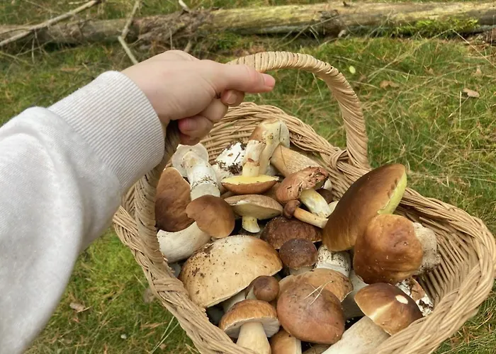 Lägenhet Ferien-und Bauernhof Gauster Trebel
