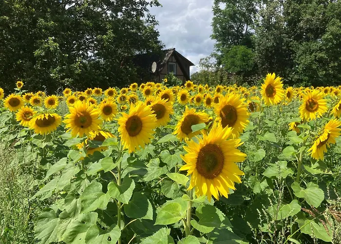 Ferien-und Bauernhof Gauster Trebel