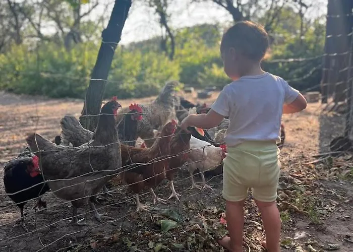 Ferien-und Bauernhof Gauster *