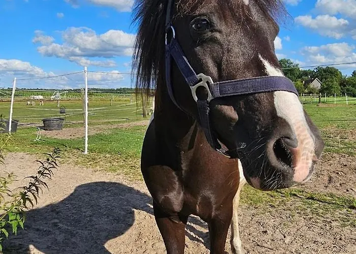 Lägenhet Ferien-und Bauernhof Gauster Trebel
