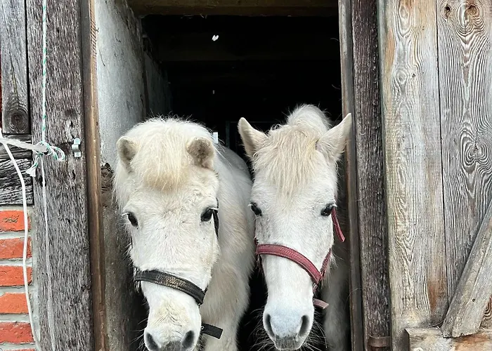 Lägenhet Ferien-und Bauernhof Gauster *